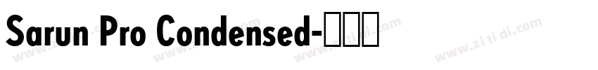 Sarun Pro Condensed字体转换